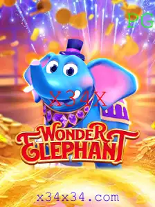 Descubra o Mundo de WonderElephant: Guia Completo